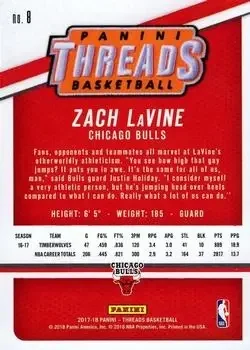 Back of Zach LaVine