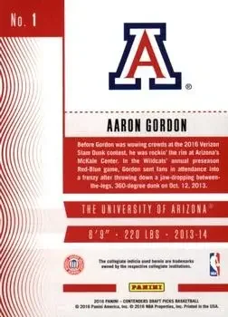 Back of Aaron Gordon
