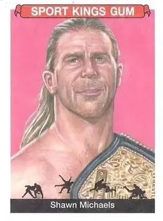 2018 Sportkings #25 - Shawn Michaels
