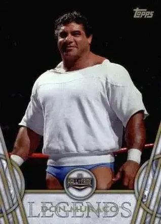 2018 Topps Legends of WWE #14 - The Magnificant Muraco