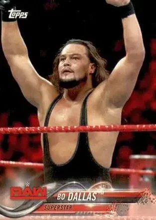 2018 Topps WWE #13 - Uncle Howdy