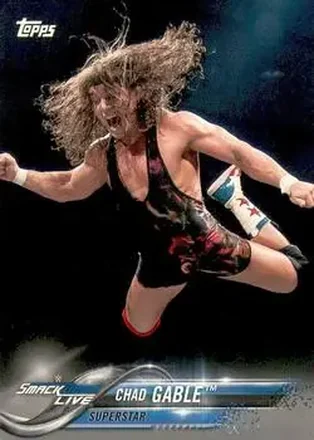 2018 Topps WWE #23 - Chad Gable