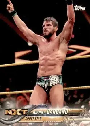 2018 Topps WWE #44 - Johnny Gargano