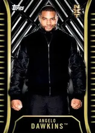 2018 Topps WWE NXT #R-6 - Angelo Dawkins