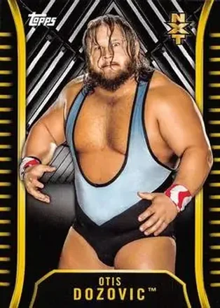 2018 Topps WWE NXT #R-23 - Otis