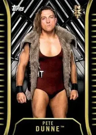 2018 Topps WWE NXT #R-25 - Pete Dunne