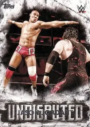 2018 Topps WWE Undisputed #19 - Jason Jordan