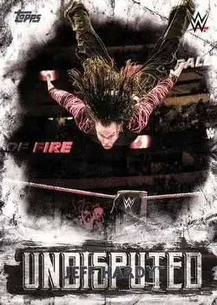 2018 Topps WWE Undisputed #20 - Jeff Hardy