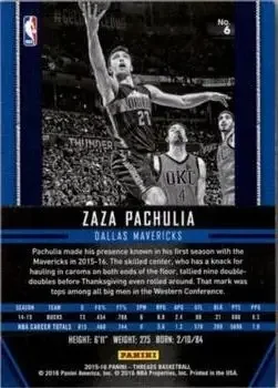 Back of Zaza Pachulia