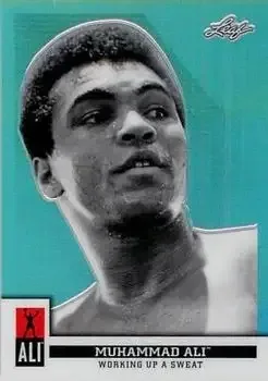 Boxing card