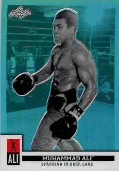 Boxing card