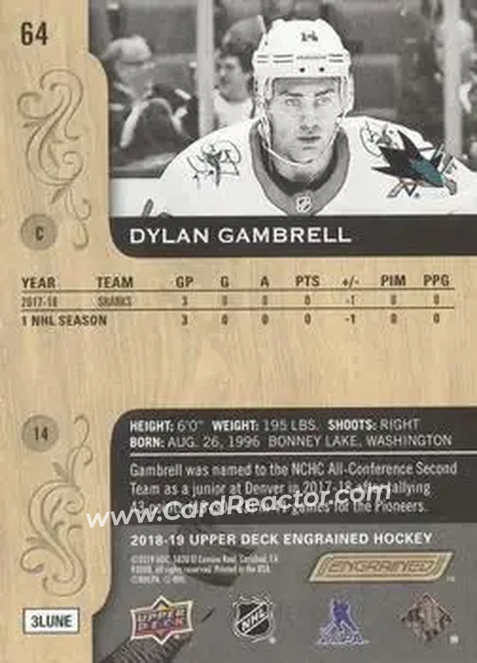 2018-19 Upper Deck Engrained #64 - Dylan Gambrell - San Jose Sharks - Back