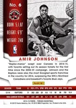 Back of Amir Johnson