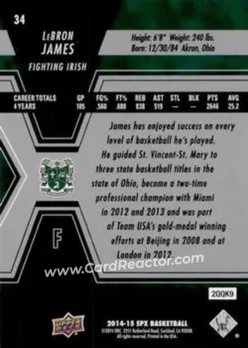 Back of LeBron James