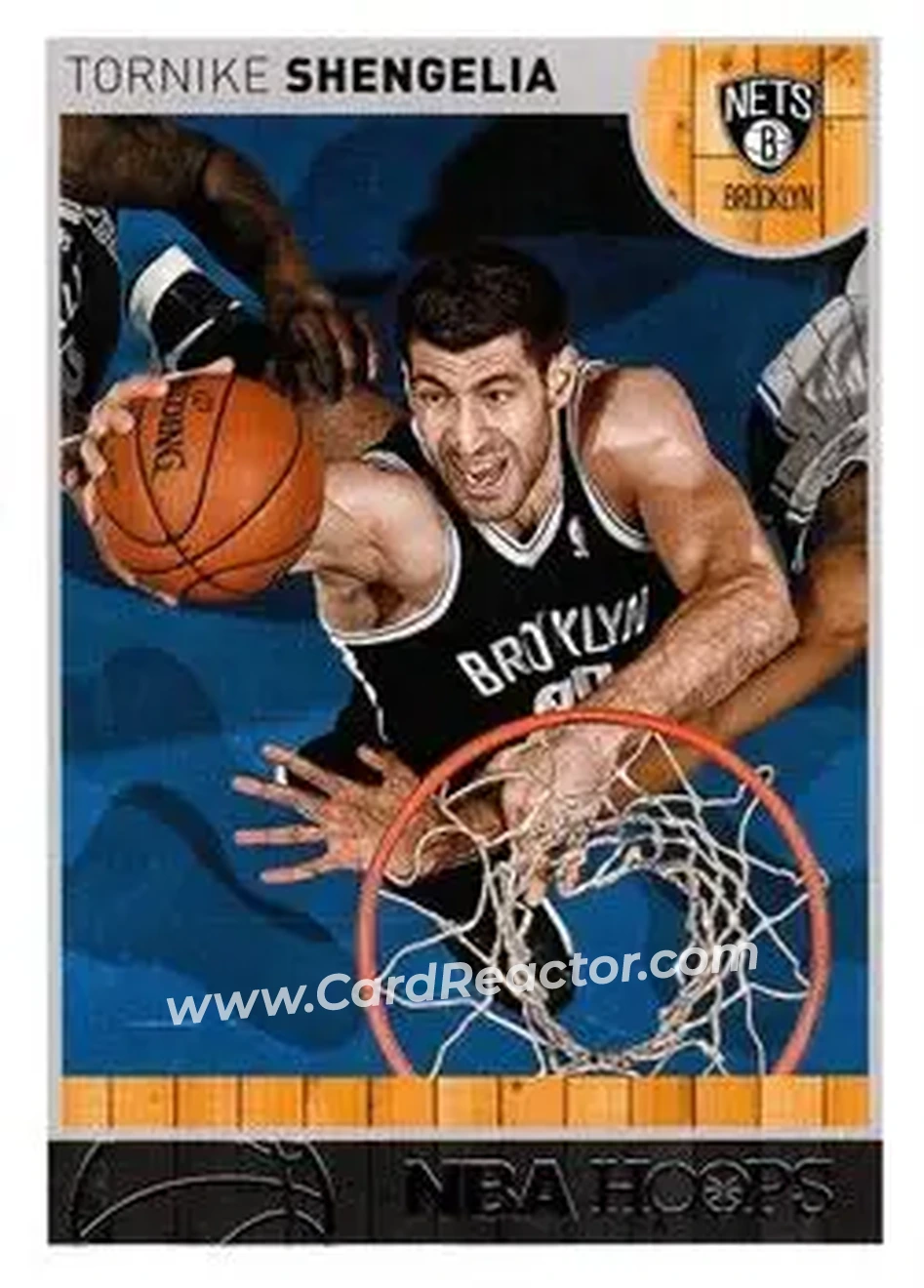 2013-14 Hoops #45 - Tornike Shengelia - Brooklyn Nets - Front