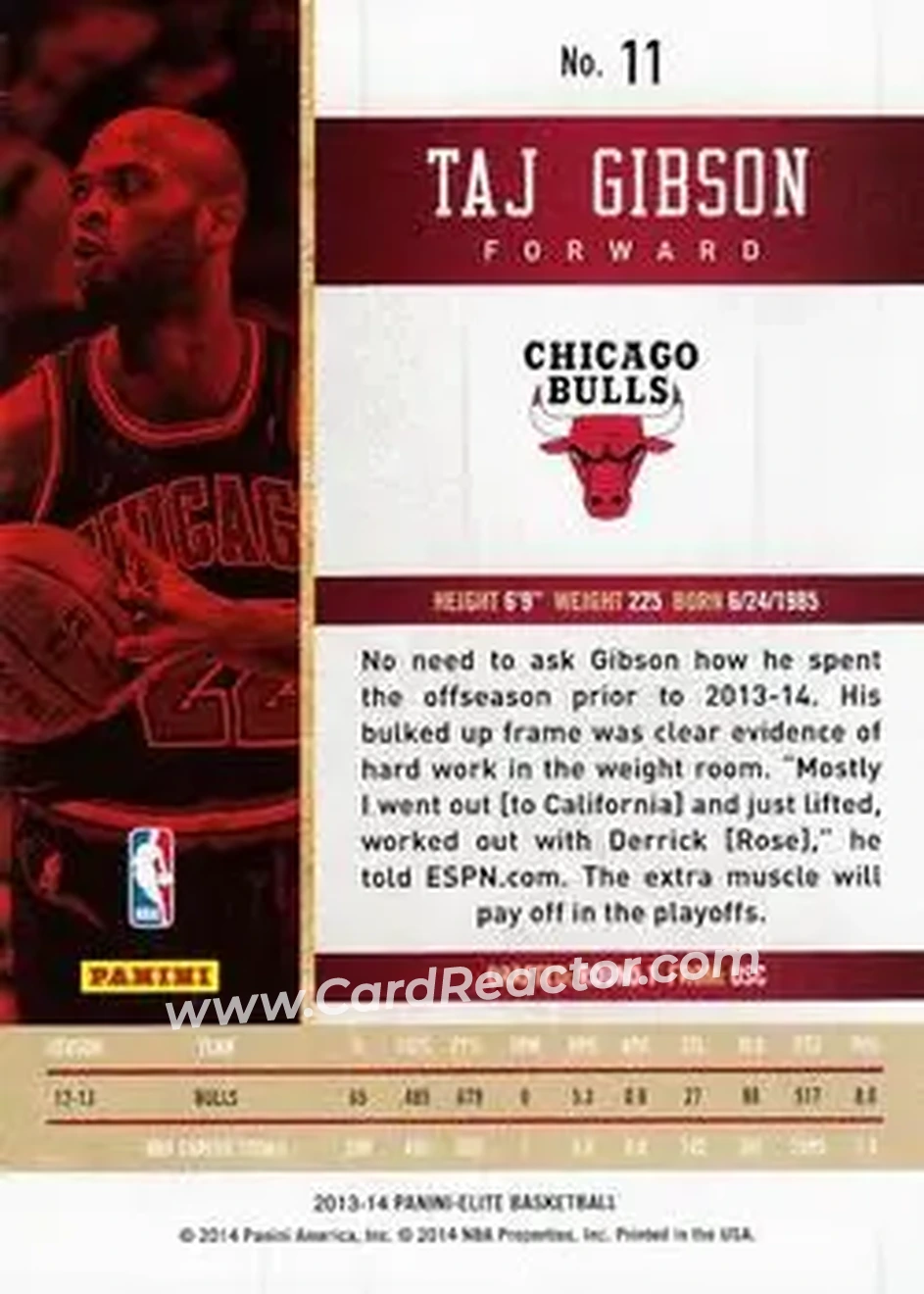 2013-14 Panini Elite #11 - Taj Gibson - Chicago Bulls - Back
