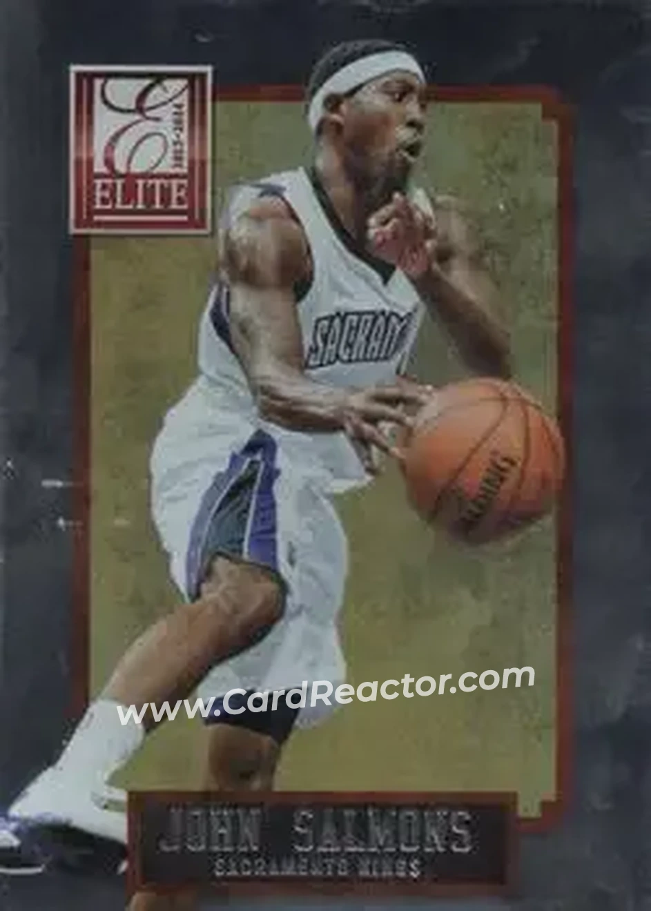 2013-14 Panini Elite #14 - John Salmons - Sacramento Kings - Front