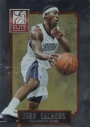 2013-14 Panini Elite #14 John Salmons