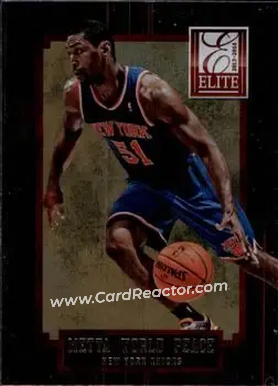 2013-14 Panini Elite #16 - Metta World Peace - New York Knicks - Front