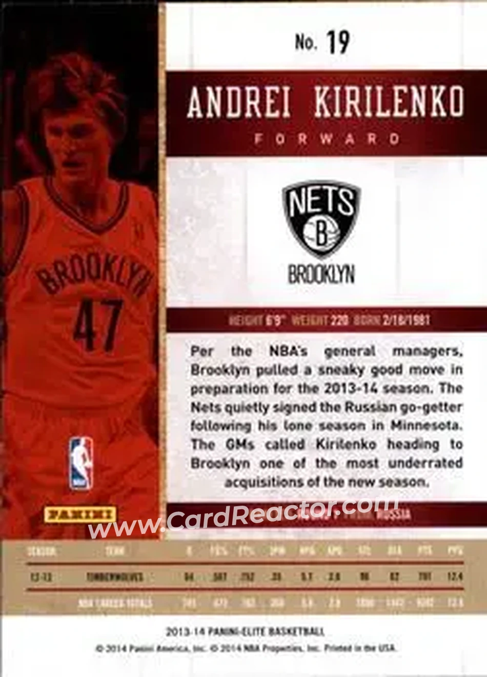 2013-14 Panini Elite #19 - Andrei Kirilenko - Brooklyn Nets - Back