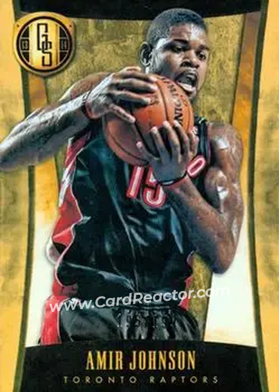 2013-14 Panini Gold Standard #19 - Amir Johnson - Toronto Raptors - Front