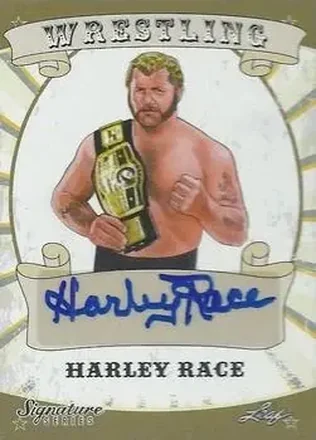 2016 Leaf Signature Series #30 - King Harley Race