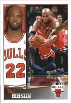 2013-14 Panini NBA Sticker Collection #60 Taj Gibson