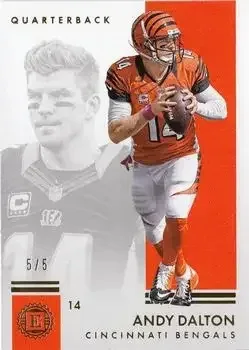 2016 Panini Encased feature card