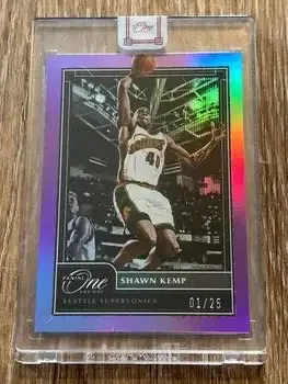 2020-21 Panini One and One feature card