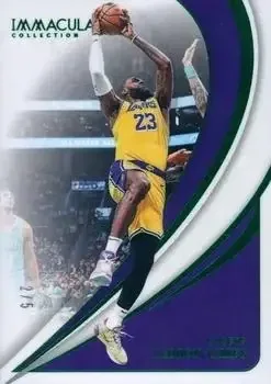 2023-24 Panini Immaculate Collection feature card