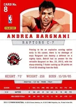 Back of Andrea Bargnani