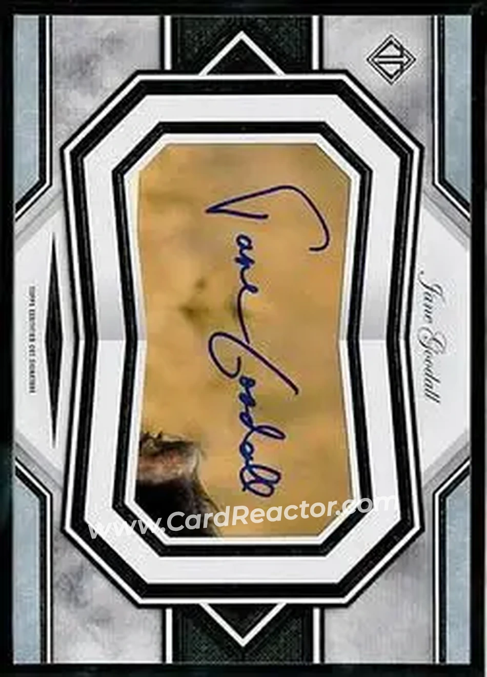 2019 Topps Transcendent Collection - Oversized Cut Signatures #TCS-JG - Jane Goodall