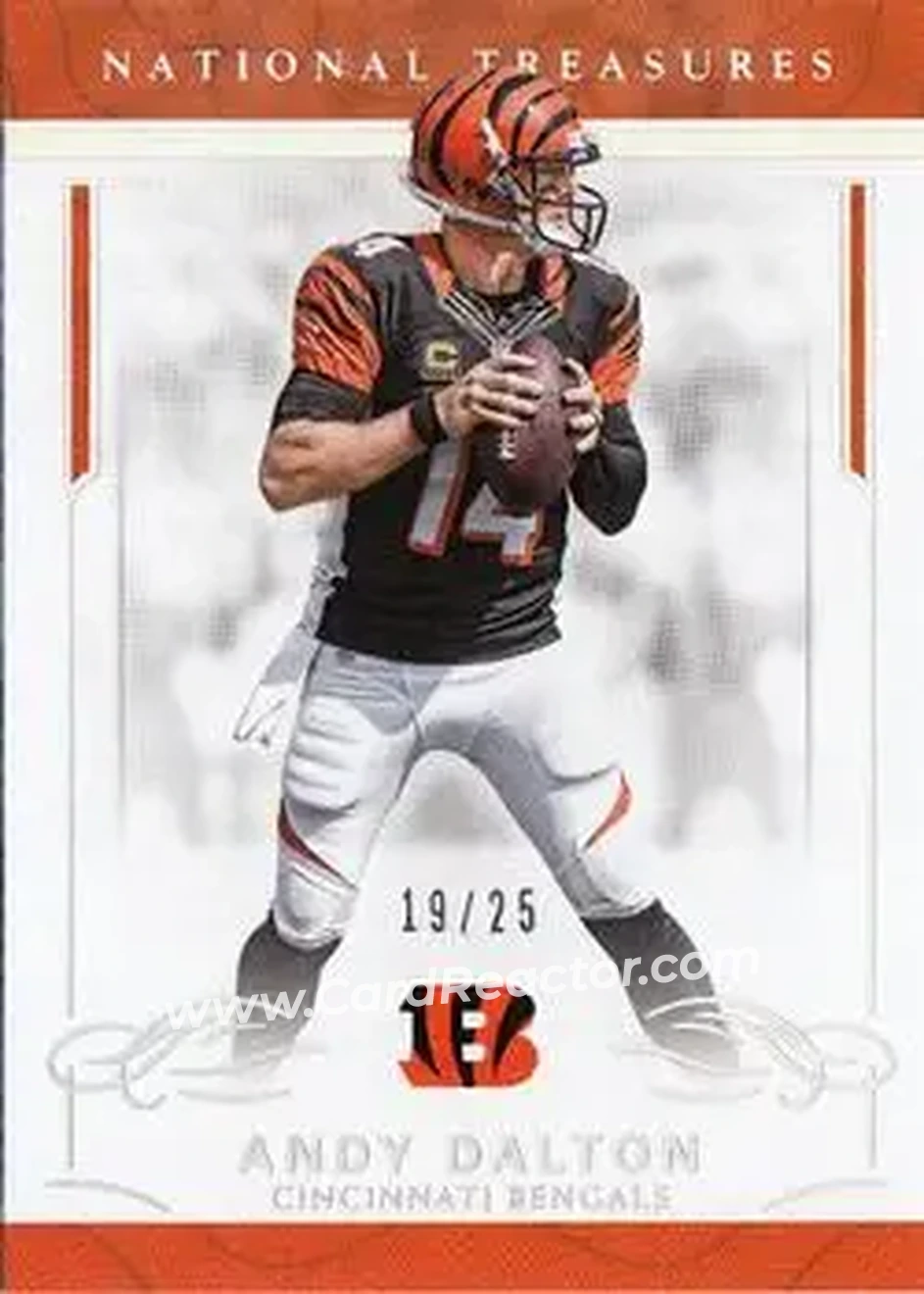 2016 Panini National Treasures - Holo Silver #19 - Andy Dalton - Cincinnati Bengals - Front