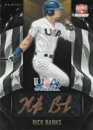 2015 Panini USA Baseball - Collegiate National Team Black Gold Signatures #NB - Nick Banks - USA