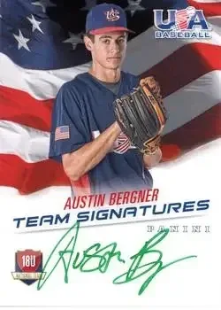 2015 Panini USA Baseball feature card