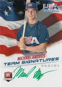 2015 Panini USA Baseball feature card