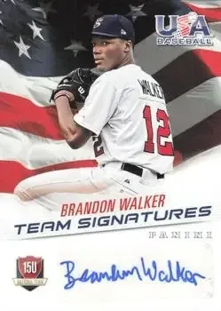 2015 Panini USA Baseball feature card