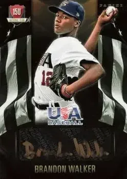 2015 Panini USA Baseball feature card