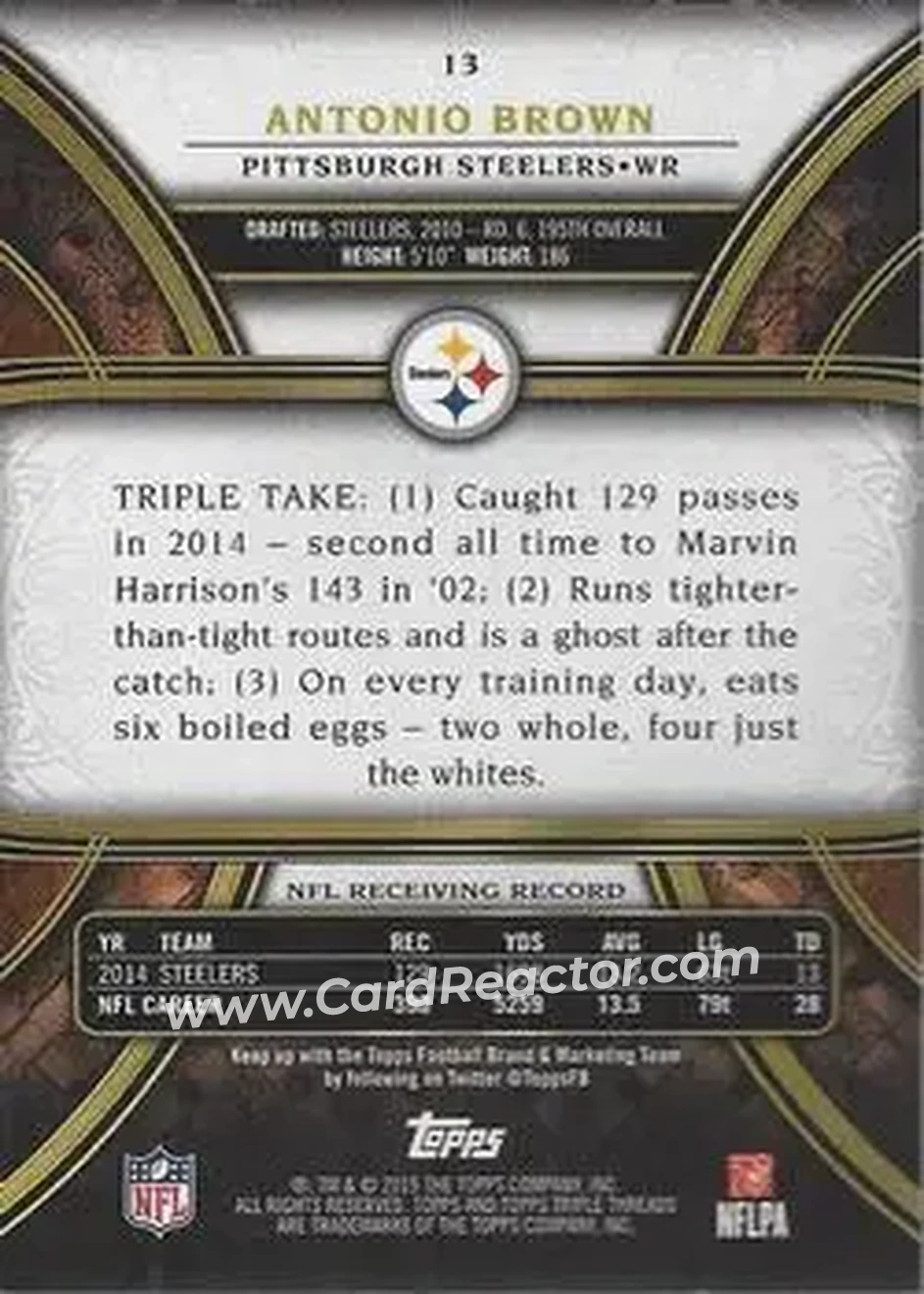 2015 Topps Triple Threads #13 - Antonio Brown - Pittsburgh Steelers - Back