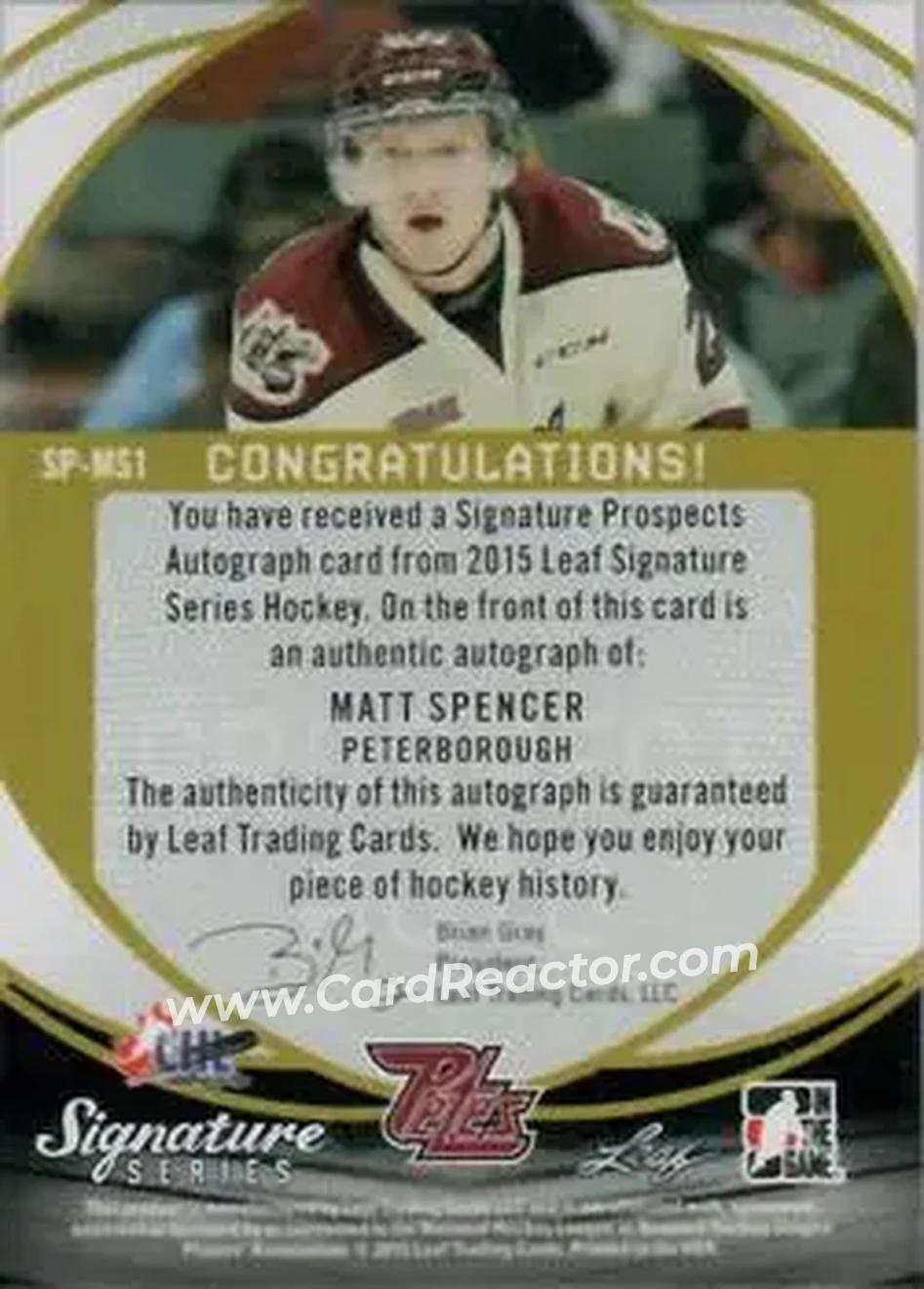 2015 Leaf Signature Series #SP-MS1 - Matt Spencer - Back