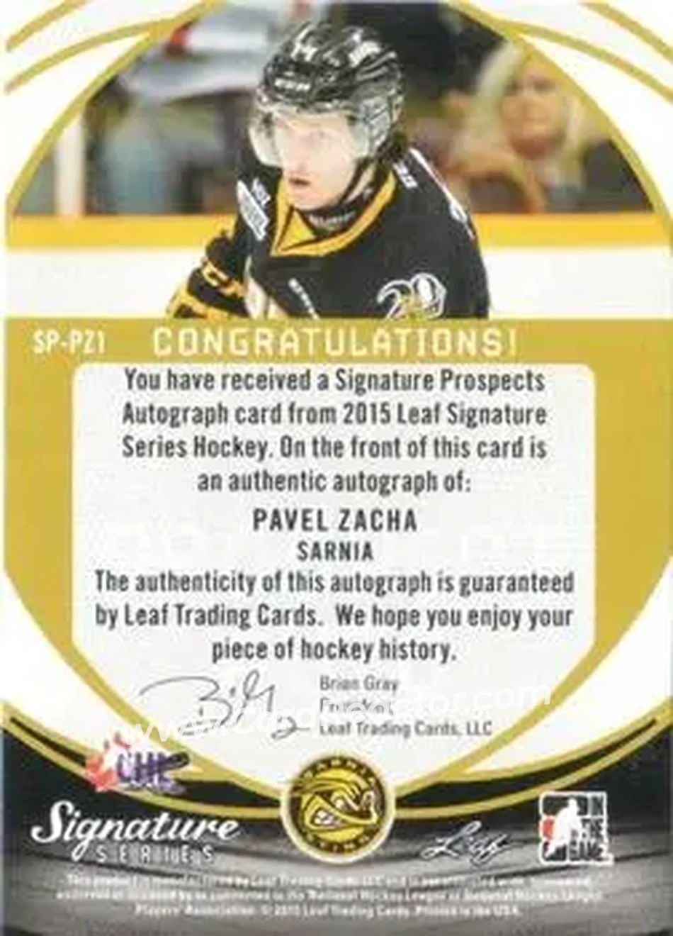 2015 Leaf Signature Series #SP-PZ1 - Pavel Zacha - Back 2015 Leaf Signature Series #SP-PZ1 - Pavel Zacha - Back