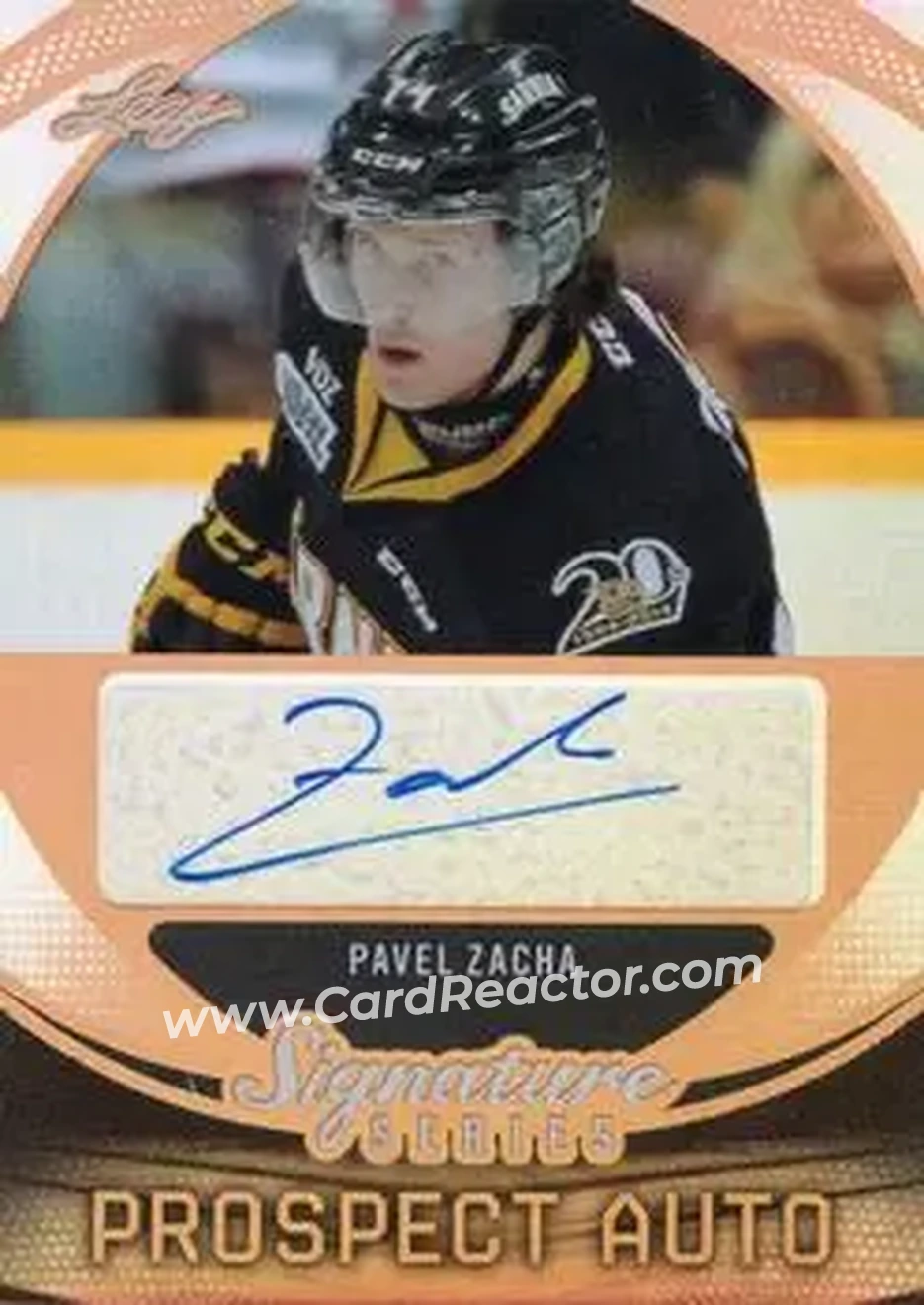 2015 Leaf Signature Series #SP-PZ1 - Pavel Zacha - Front 2015 Leaf Signature Series #SP-PZ1 - Pavel Zacha - Front