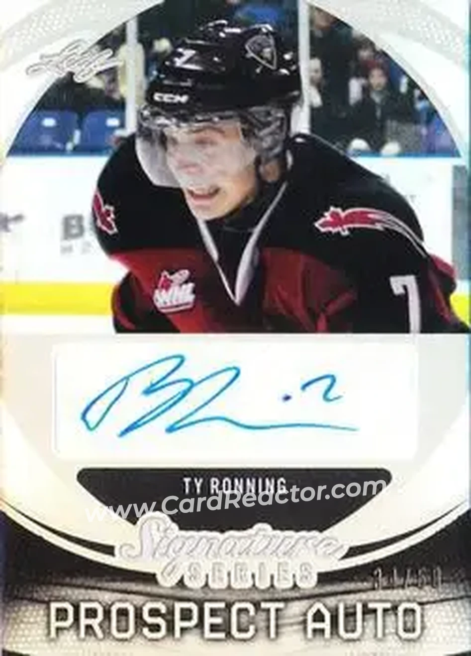 2015 Leaf Signature Series - Prospects Gray #SP-TR1 - Ty Ronning - Front 2015 Leaf Signature Series - Prospects Gray #SP-TR1 - Ty Ronning - Front