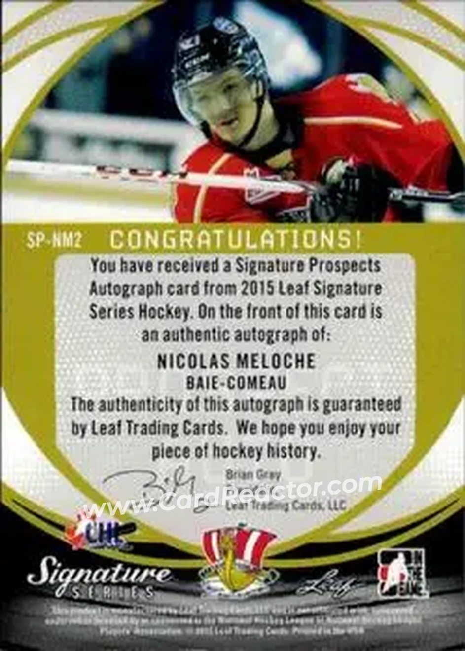 2015 Leaf Signature Series - Prospects Red #SP-NM2 - Nicolas Meloche - Baie-Comeau Drakkar - Back 2015 Leaf Signature Series - Prospects Red #SP-NM2 - Nicolas Meloche - Baie-Comeau Drakkar - Back