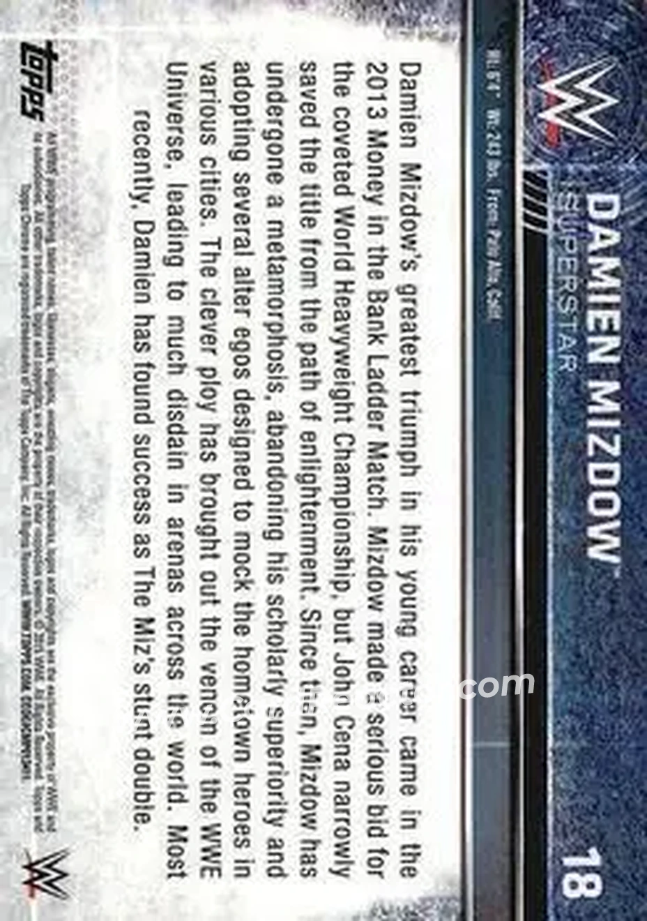 2015 Topps Chrome WWE #18 - Damien Mizdow - Back
