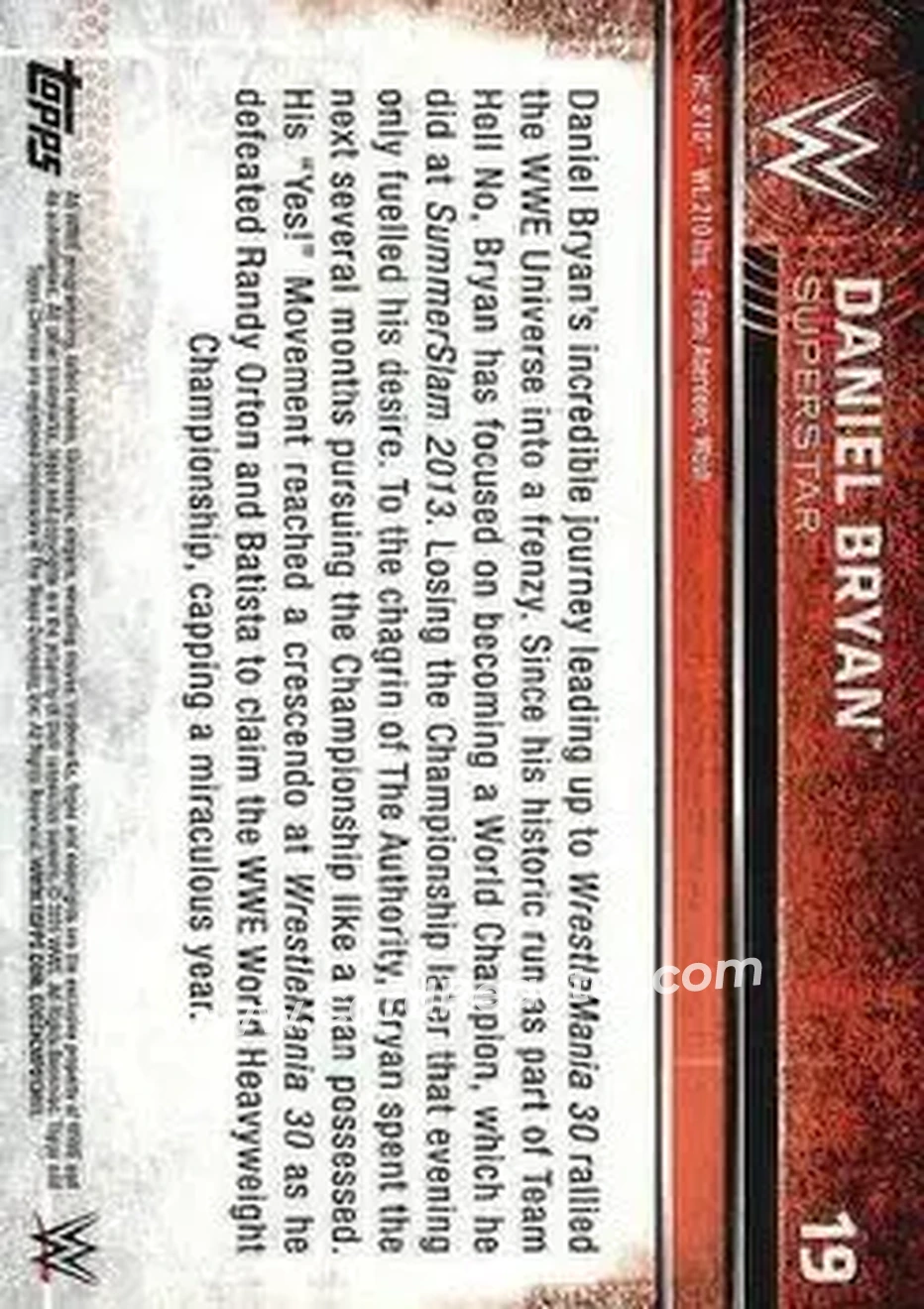 2015 Topps Chrome WWE #19 - Bryan Danielson - Back