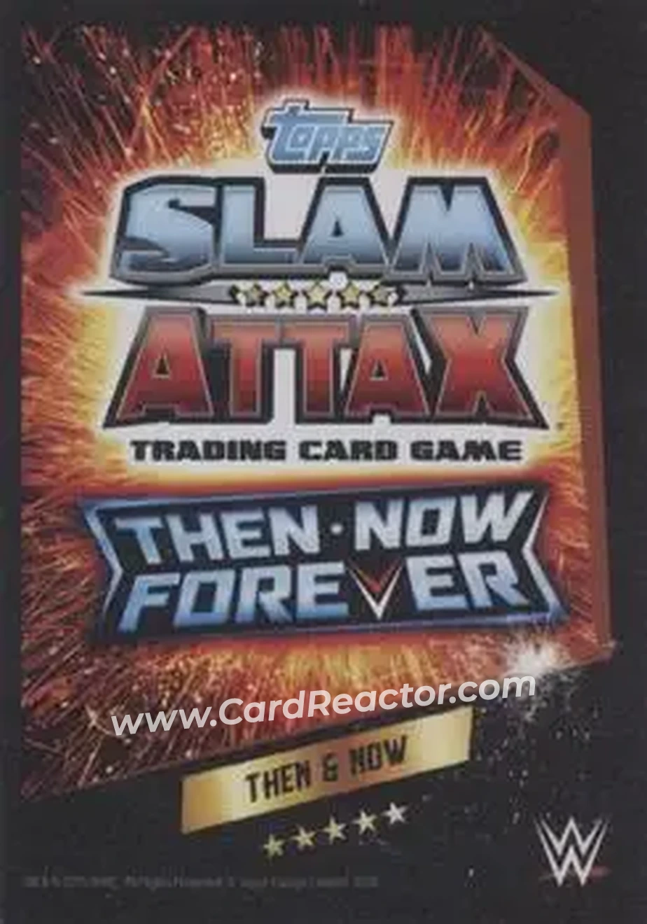 2015 Topps Slam Attax WWE: Then Now & Forever #22 - Bryan Danielson - Back