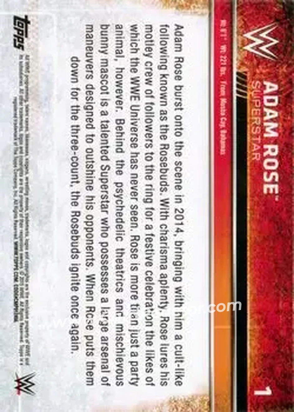 2015 Topps WWE #1 - Adam Rose - Back