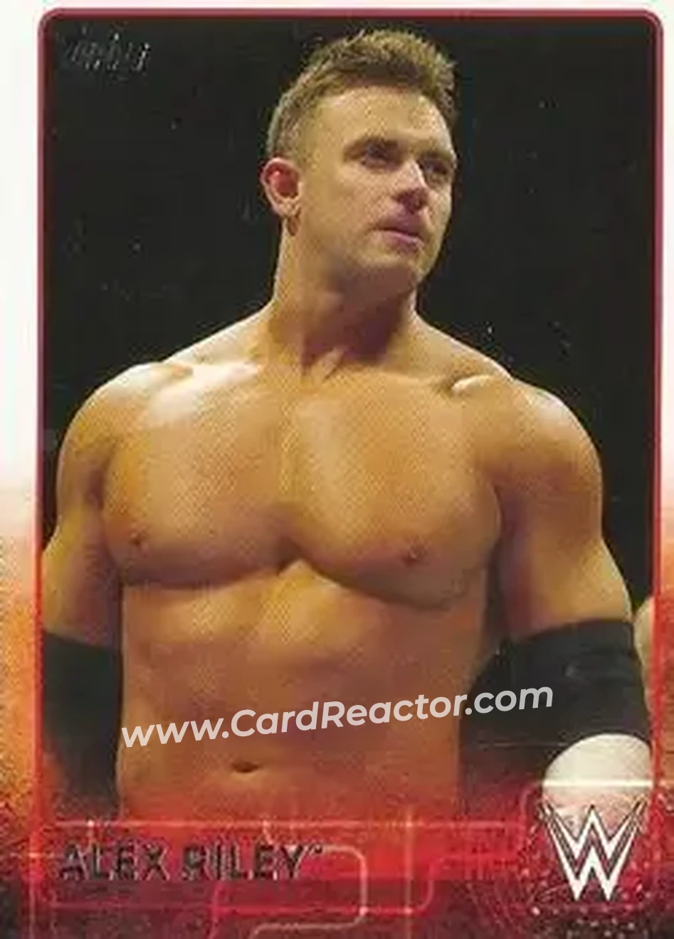 2015 Topps WWE #3 - Alex Riley - Front