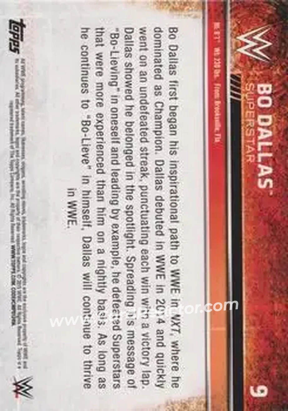 2015 Topps WWE #9 - Uncle Howdy - Back